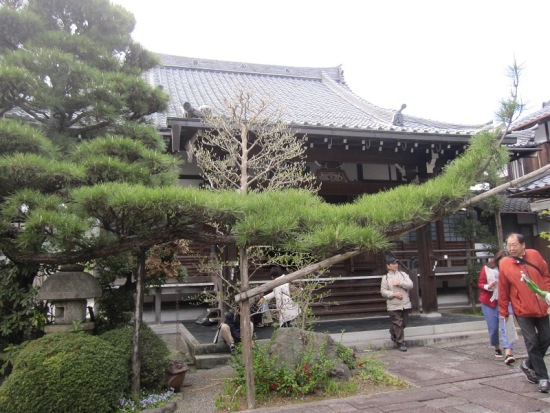 3763-13.4.12更雀寺 (2)本堂.jpg